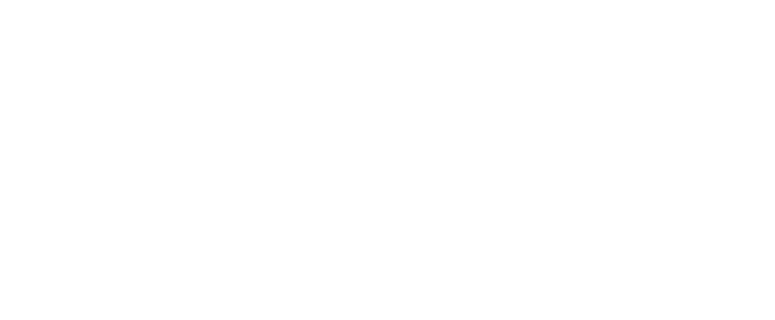 logo Studio Spini